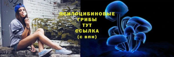 гашик Алексеевка