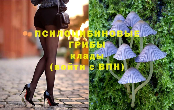 гашик Алексеевка