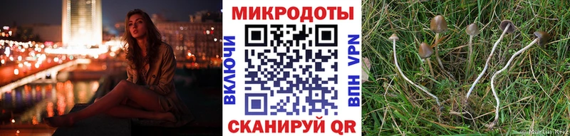 Галлюциногенные грибы Cubensis Тосно