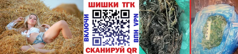 сколько стоит Тосно Каннабис сатива